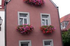 DSCN0891