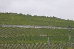 DSCN0924